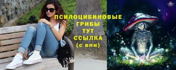 мяу мяу мука Алзамай
