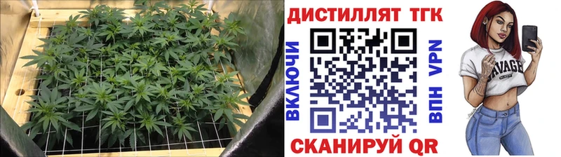 Дистиллят ТГК концентрат Камышлов